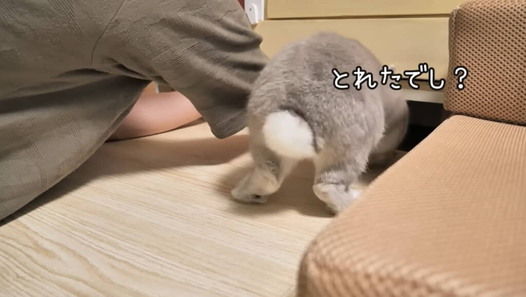 一緒にのぞいてくれるぽぽちゃん