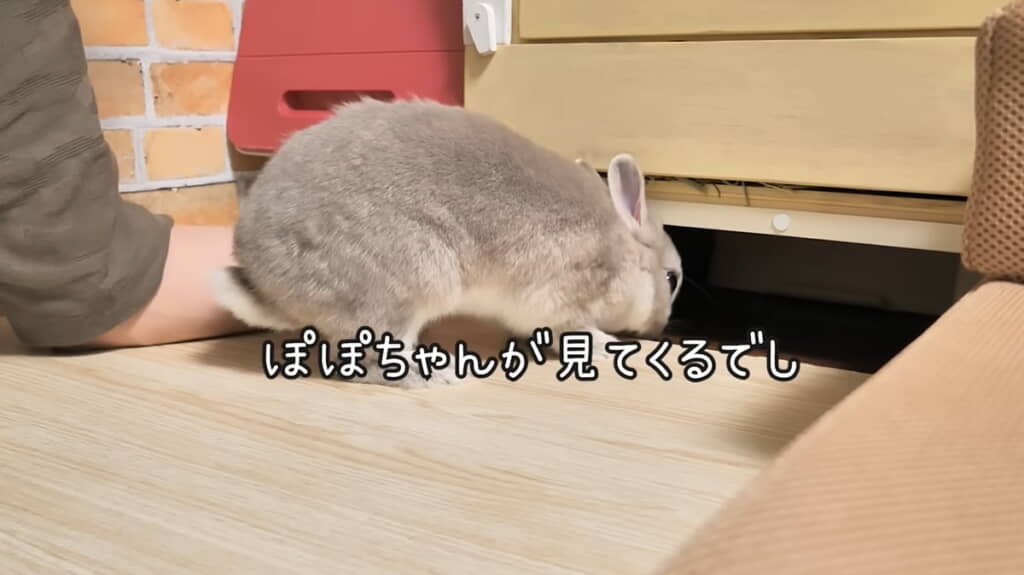 状況を確認しに行ってくれるようです