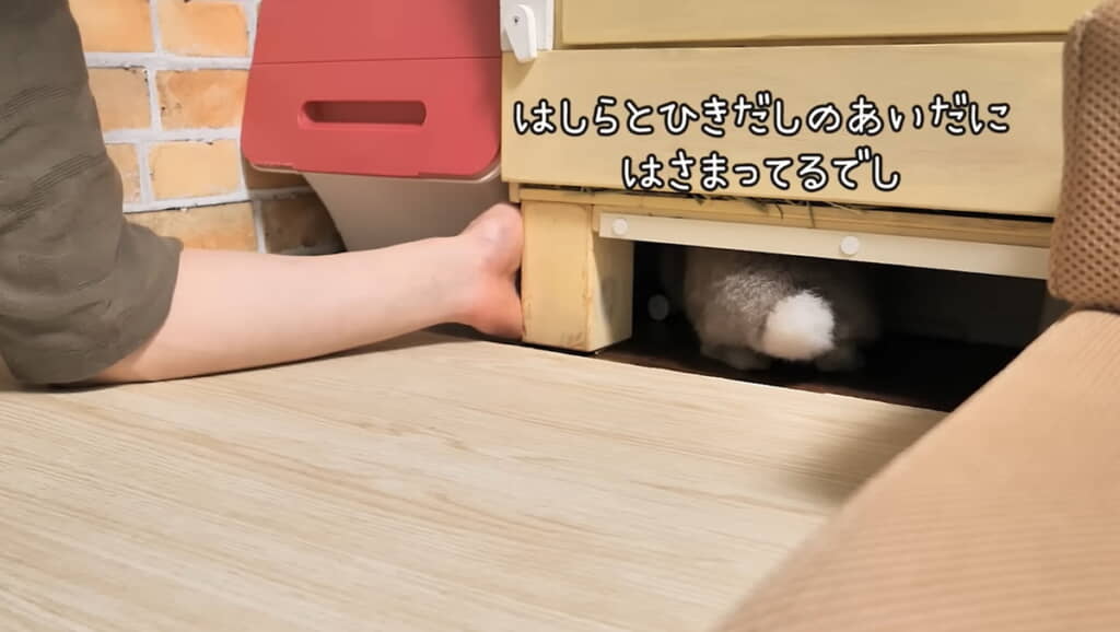 奥で挟まってたみたい