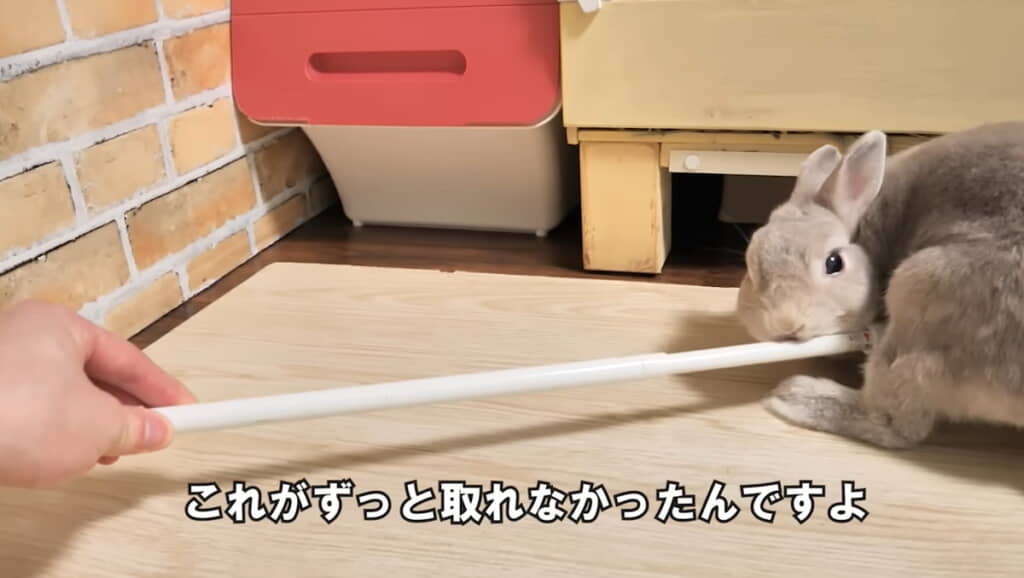 ぽぽちゃんのおかげで解決◎