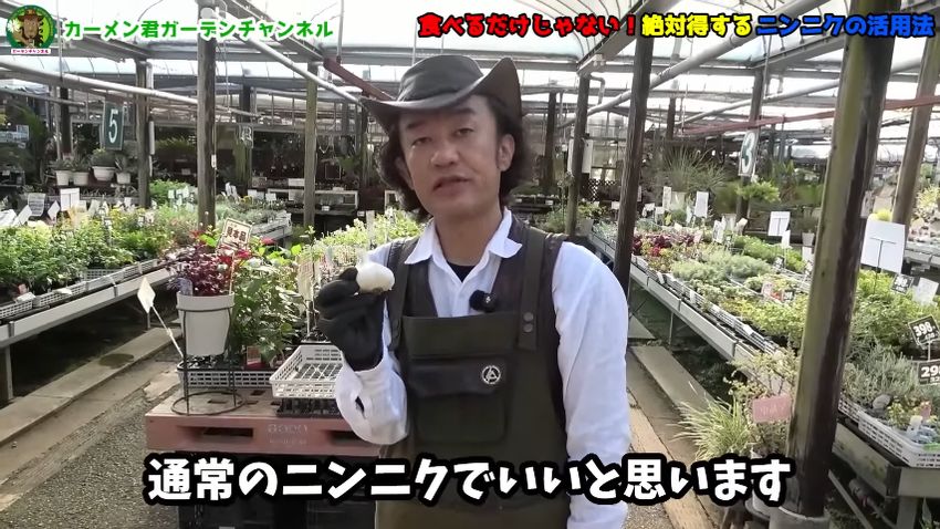 ニンニクの活用法