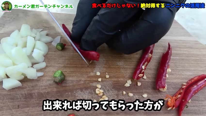 カプサイシン抽出のため縦切りにしたトウガラシ