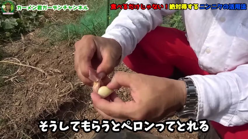 皮をむいたニンニク