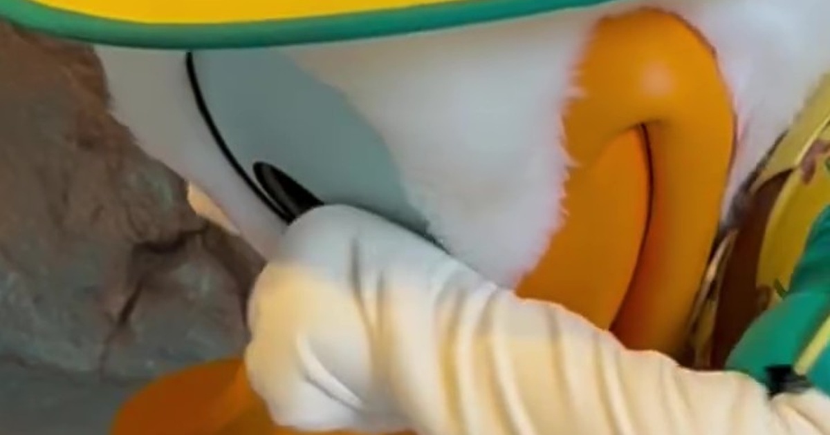 ディズニーシーでドナルドが“5度見した”刺しゅう→世界でひとつの宝物に「え!?凄すぎる」「凄い喜んでますね」「もはや公式グッズ」（1/3） | ディズニー ねとらぼ