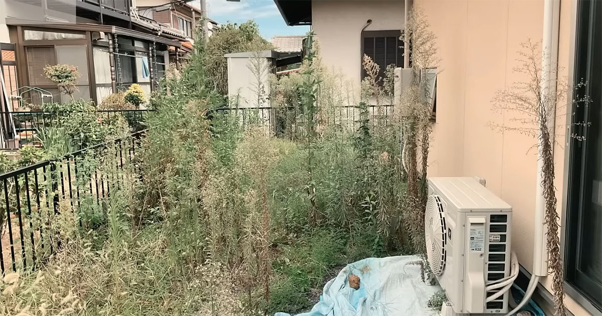 “身長超え”の雑草ジャングルだった庭→プロが造り替えたら……　まさかの変貌に子ども大喜び「すごい！」「感動」（1/3） | リフォーム・リノベーション・DIY ねとらぼ