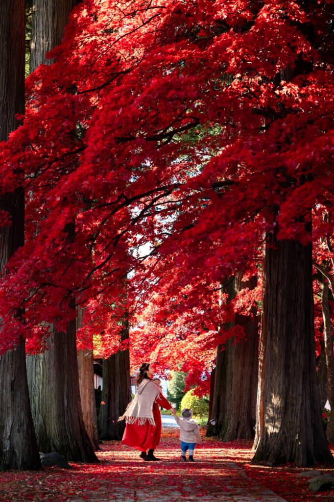 2021年、ママさんの胸には新しい家族が