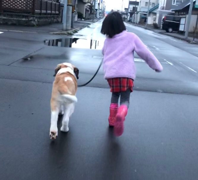 5年前は子犬のダンテくんに引きずられるようにお散歩していた娘さんでしたが……