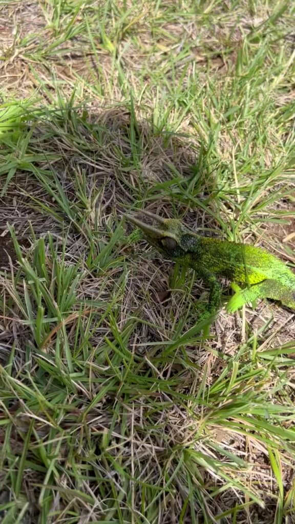 こ、この子は一体？