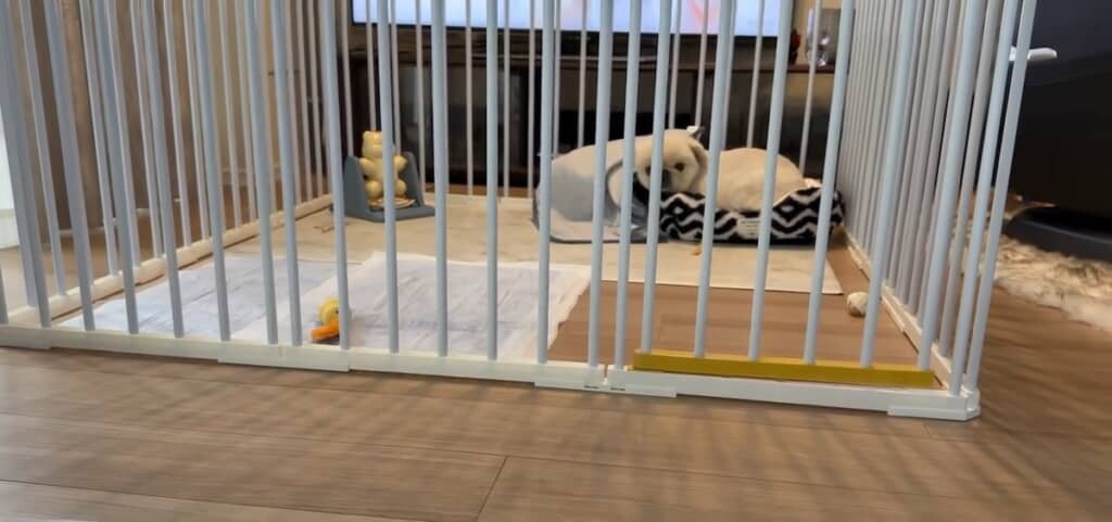 小さなベッドに座りながら、ハッピーくんの脱出劇を見守るラッキーくん