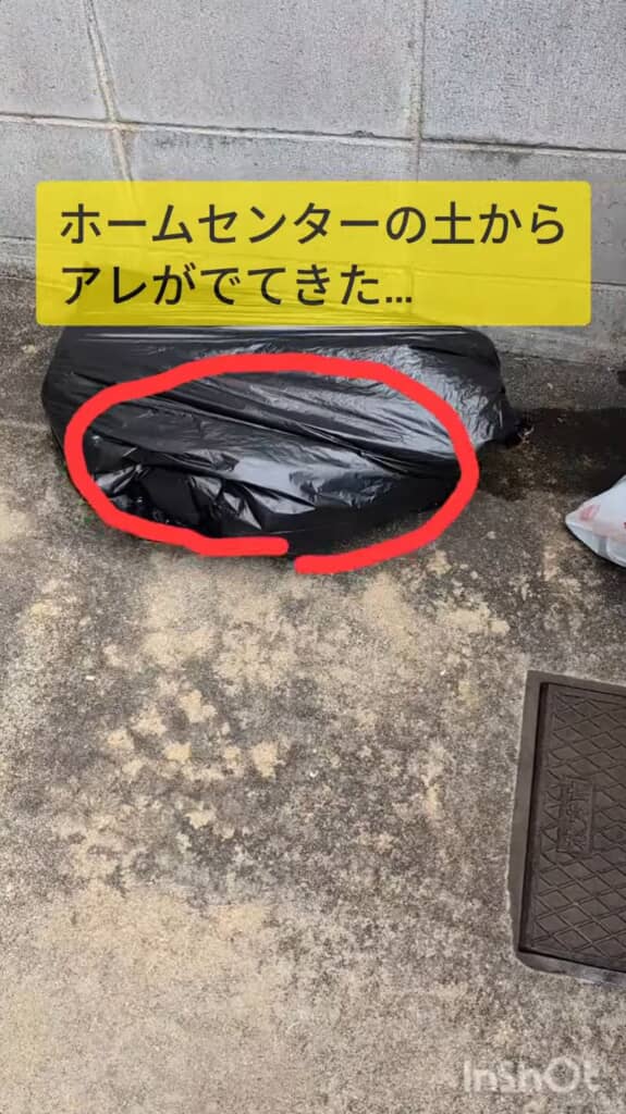 ビニール袋に包まれた土