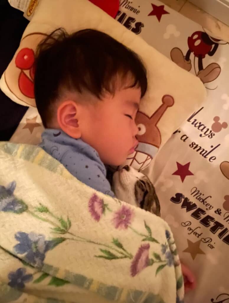 四男くんを思って弟猫が添い寝