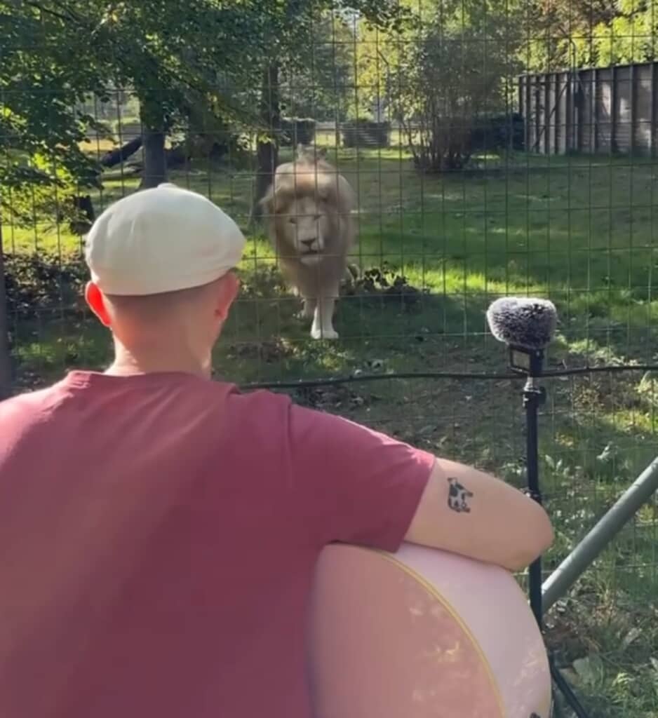 ガンズの歌にライオンが意外な反応