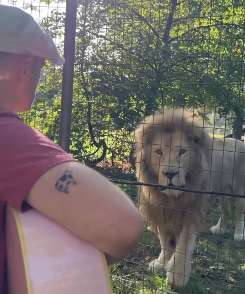 ガンズの歌にライオンが意外な反応