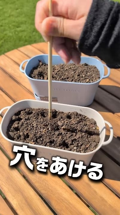 穴を開けてネギの根っこを植える