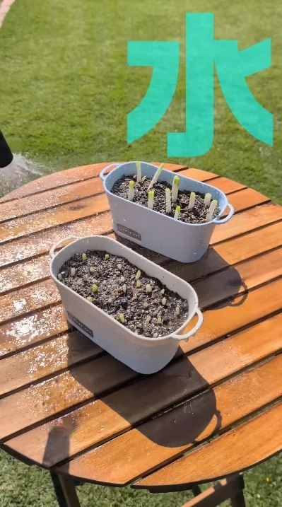 水をたっぷりあげる