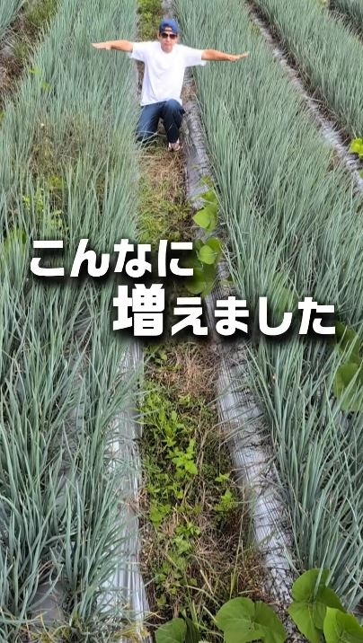 畑にめちゃくちゃ増えました！