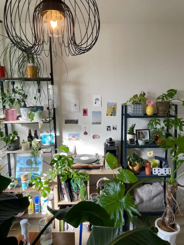 植物のほかにもおしゃれなインテリアがたくさん