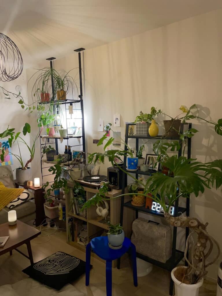 1年足らずでこの部屋が完成したとは思えない……