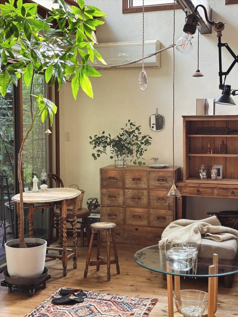 アンティーク家具に囲まれたリビングに背の高い観葉植物がとてもハマってます