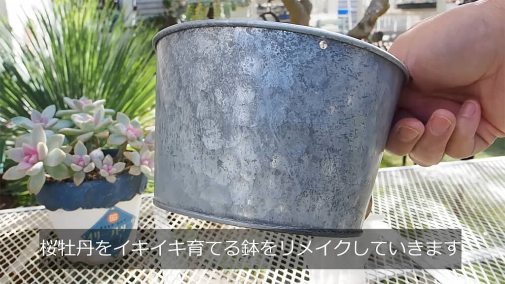 ダイソーの「ハンギング鉢カバー」をリメイクします