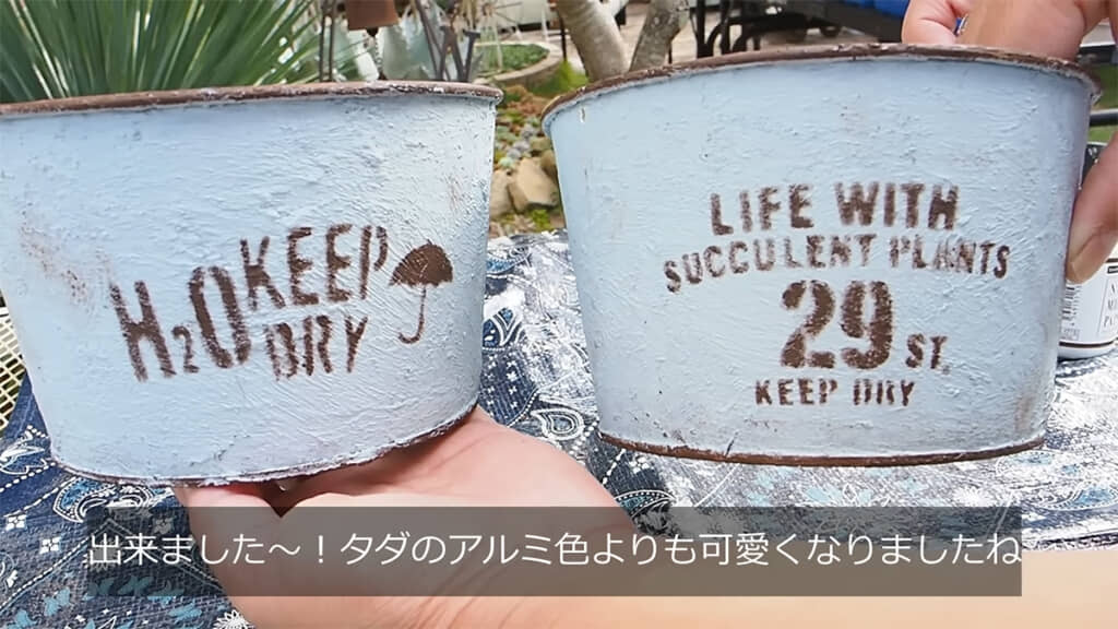 鉢のリメイク完了、いい感じです