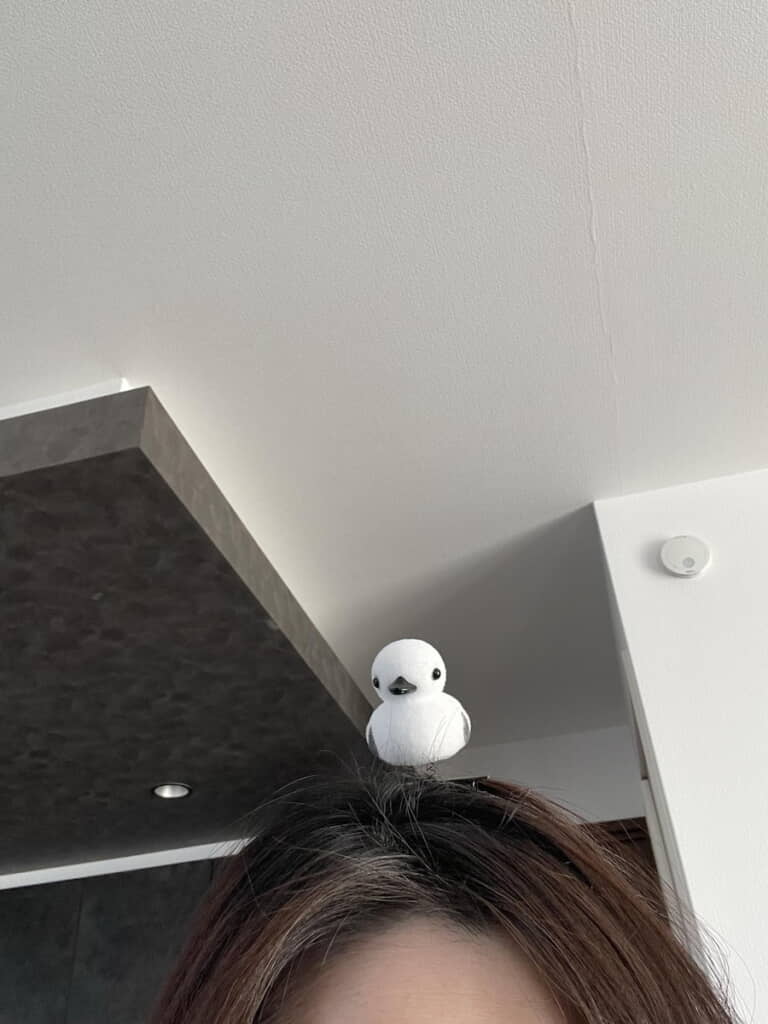 頭まさかのヘアアクセサリー