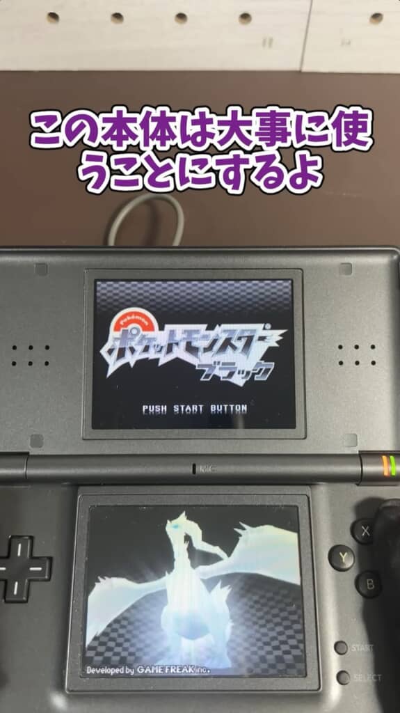 問題なく遊べる激レアなニンテンドーDS Lite