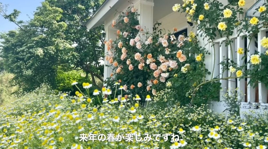 春になると玄関周りは華やかに