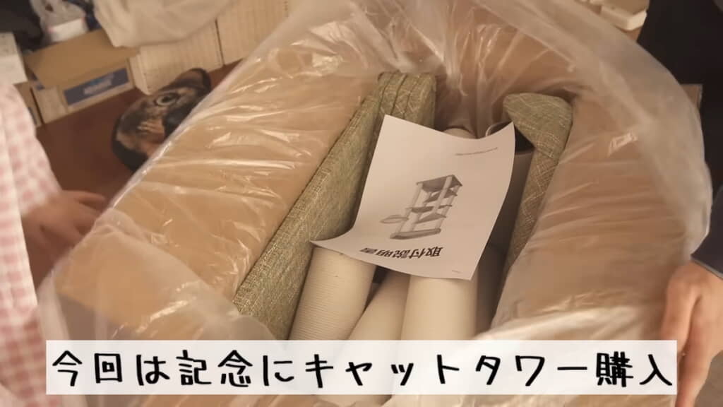 愛猫たちにキャットタワーを買った
