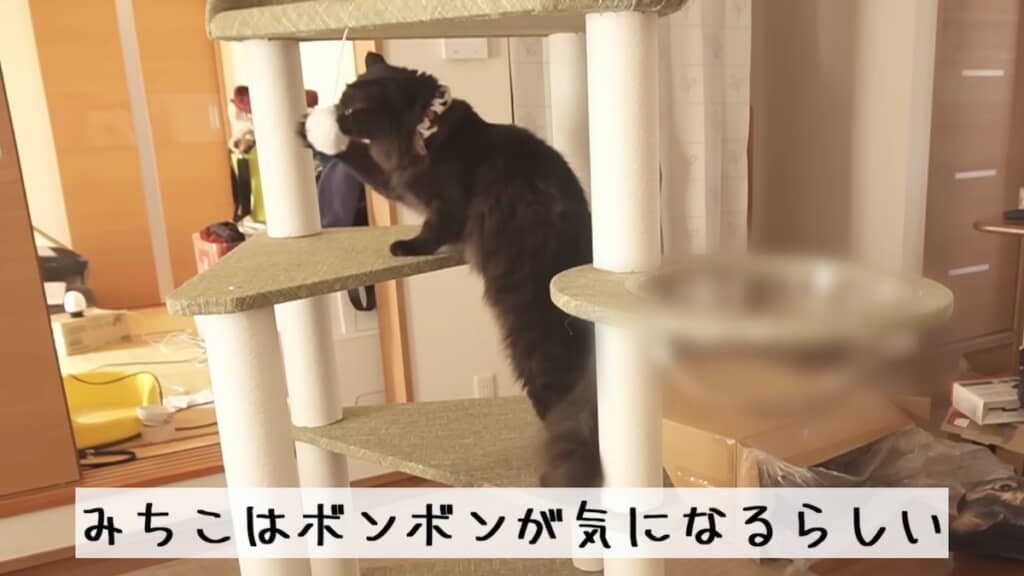 みちこちゃんもお気に入りの様子
