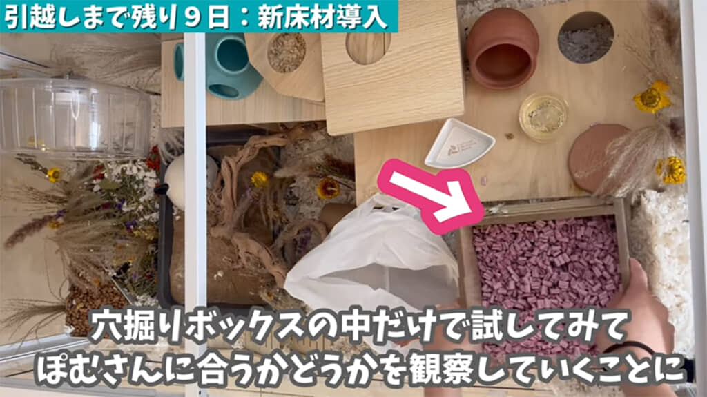 まずは穴掘りボックスで使い心地を試します