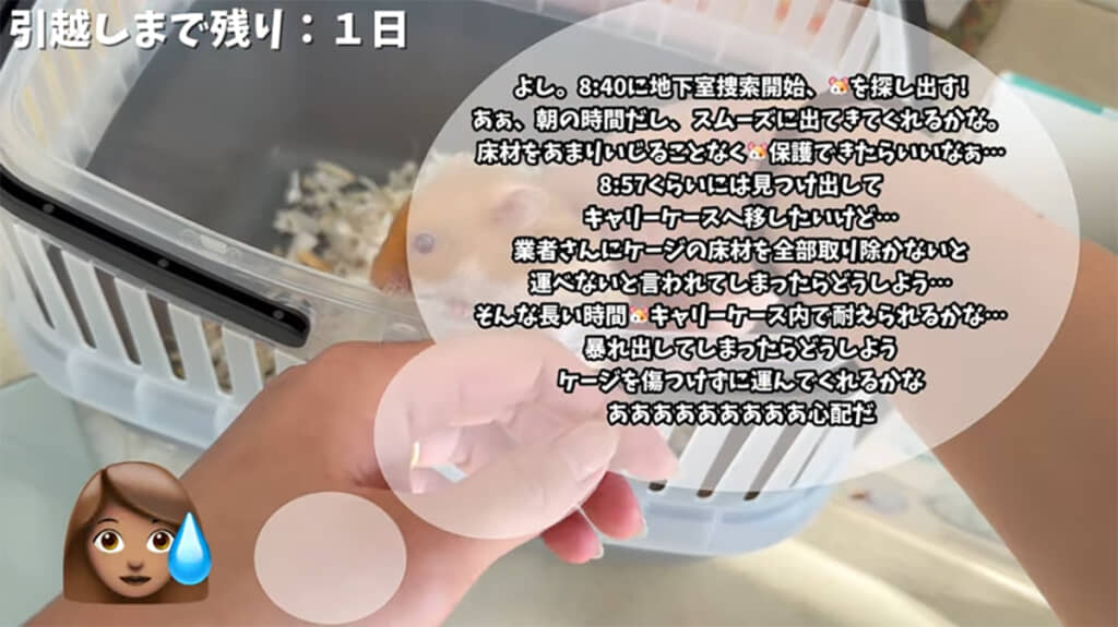 飼い主さんの頭の中は不安でいっぱいだったようです