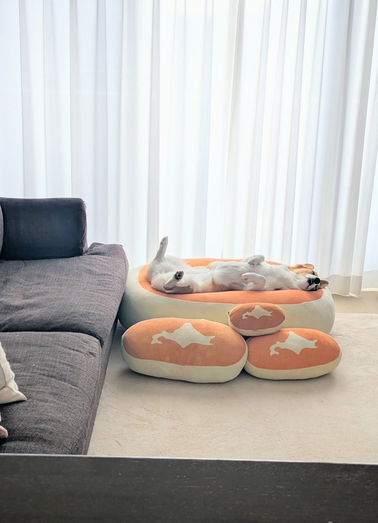 病院でいきなり直腸診をされて疲れ果てているこまちちゃん