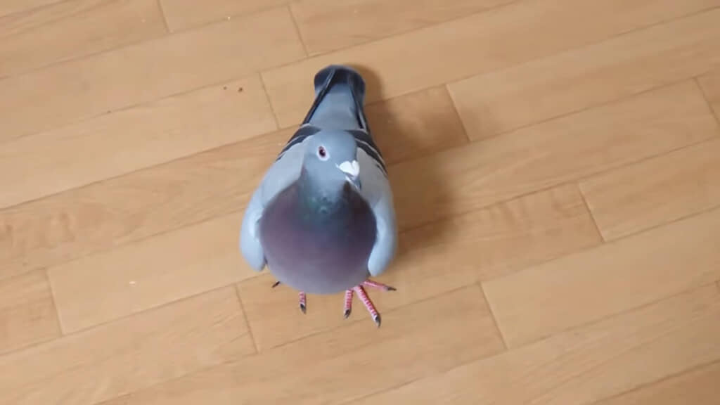 熱い眼差しを感じる