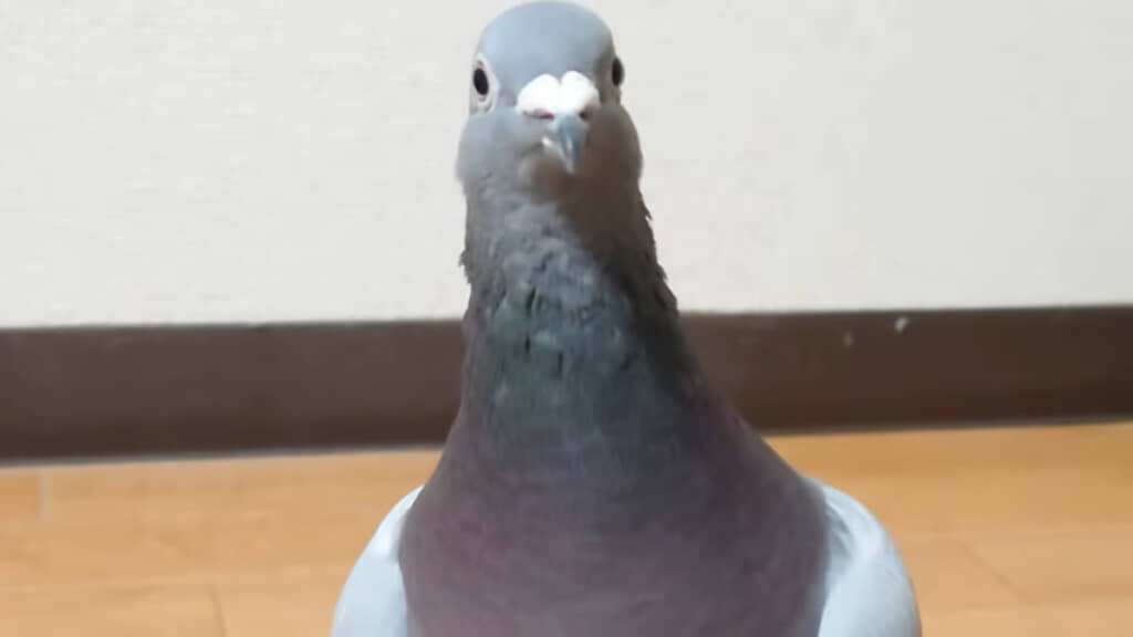 まだ帰りたくない理由はなんだろう