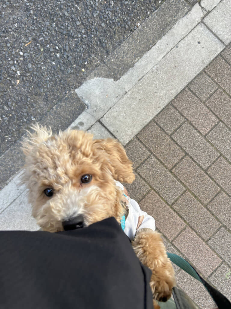 足に抱きついてる〜！