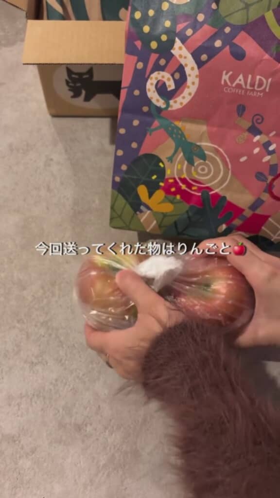 まずはりんごが2つ