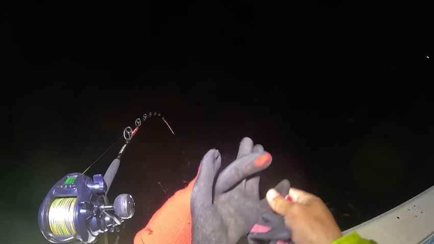 電動リールが巻き上げている間に手袋を装着する投稿者