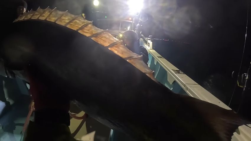 投稿者の視点から見たバラムツを掲げての記念撮影の様子