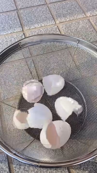卵の殻の活用術！