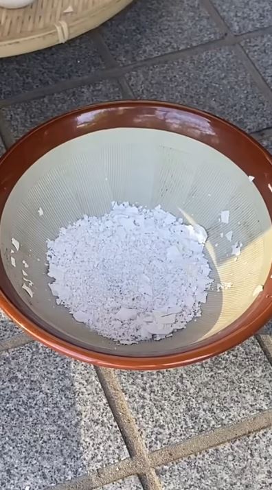 すりつぶして有機石灰に