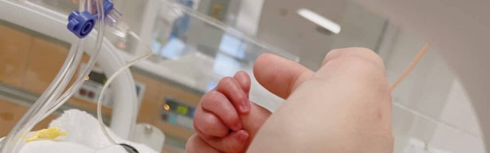 1700グラムで生まれた双子、NICUで手を握ったママが……「今日ついに」→まさかの光景に「んんん－！」「どのパンにしようかしら」（1/3） | 育児 ねとらぼ