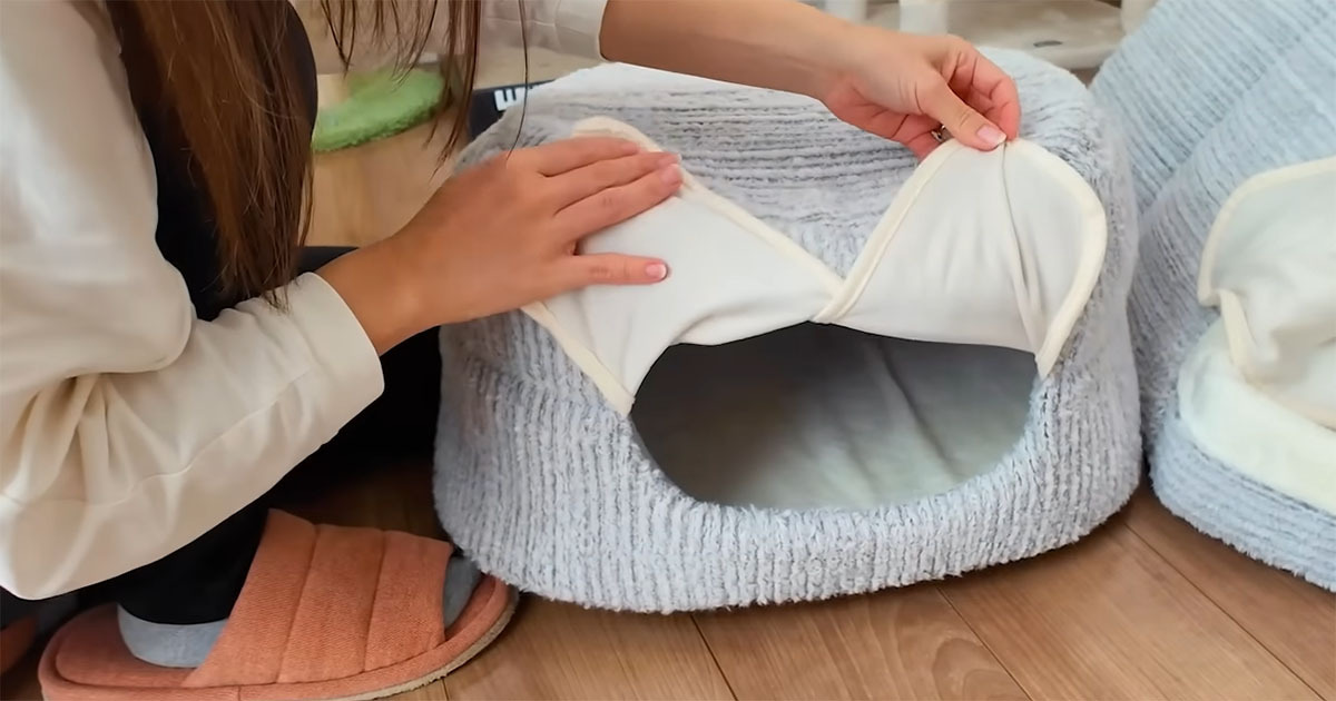 カインズで“保温ベッド”を買って帰宅→猫たちが見た瞬間……　まさかの行動に「すごい吸引力」「人間用も欲しい」（1/3） | 猫 ねとらぼ