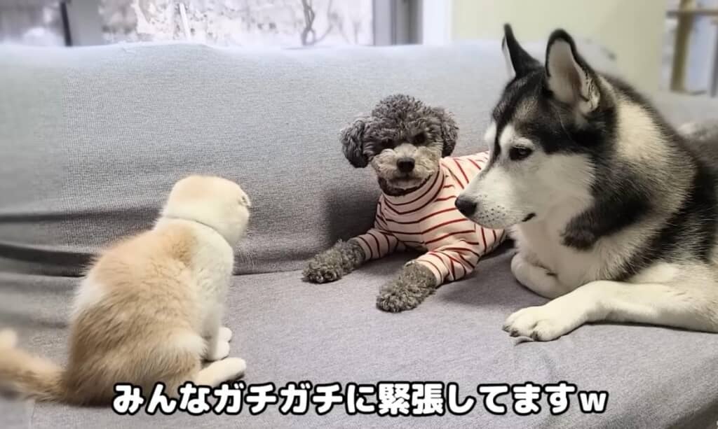 じゅんちゃんと初対面