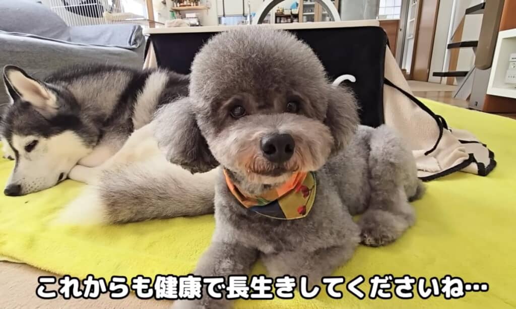 お誕生日おめでとう！