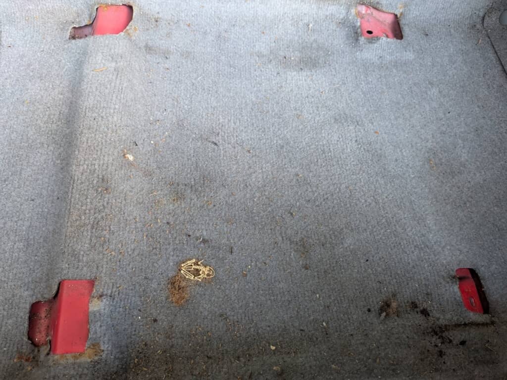 シートを外した助手席の写真