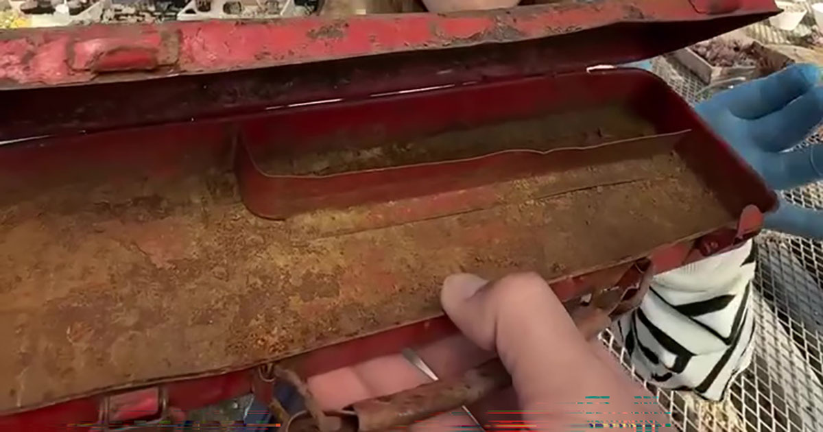 サビにサビた道具箱→“多肉植物のプロ”に預けたら……　別物のような仕上がりに「宝石箱や～」「救世主が現れました」（1/3） | ライフスタイル ねとらぼ