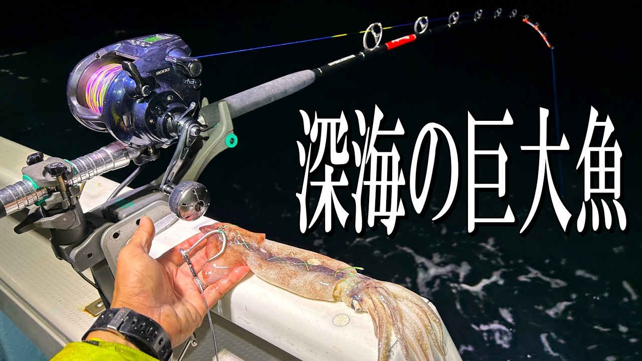 スルメイカを真っ暗な深海へ放り込んだら……「これはやばい、やばい」怪魚ハンター大興奮の光景に「あんなことになるとはｗ」（1/3） | その他生き物 ねとらぼ