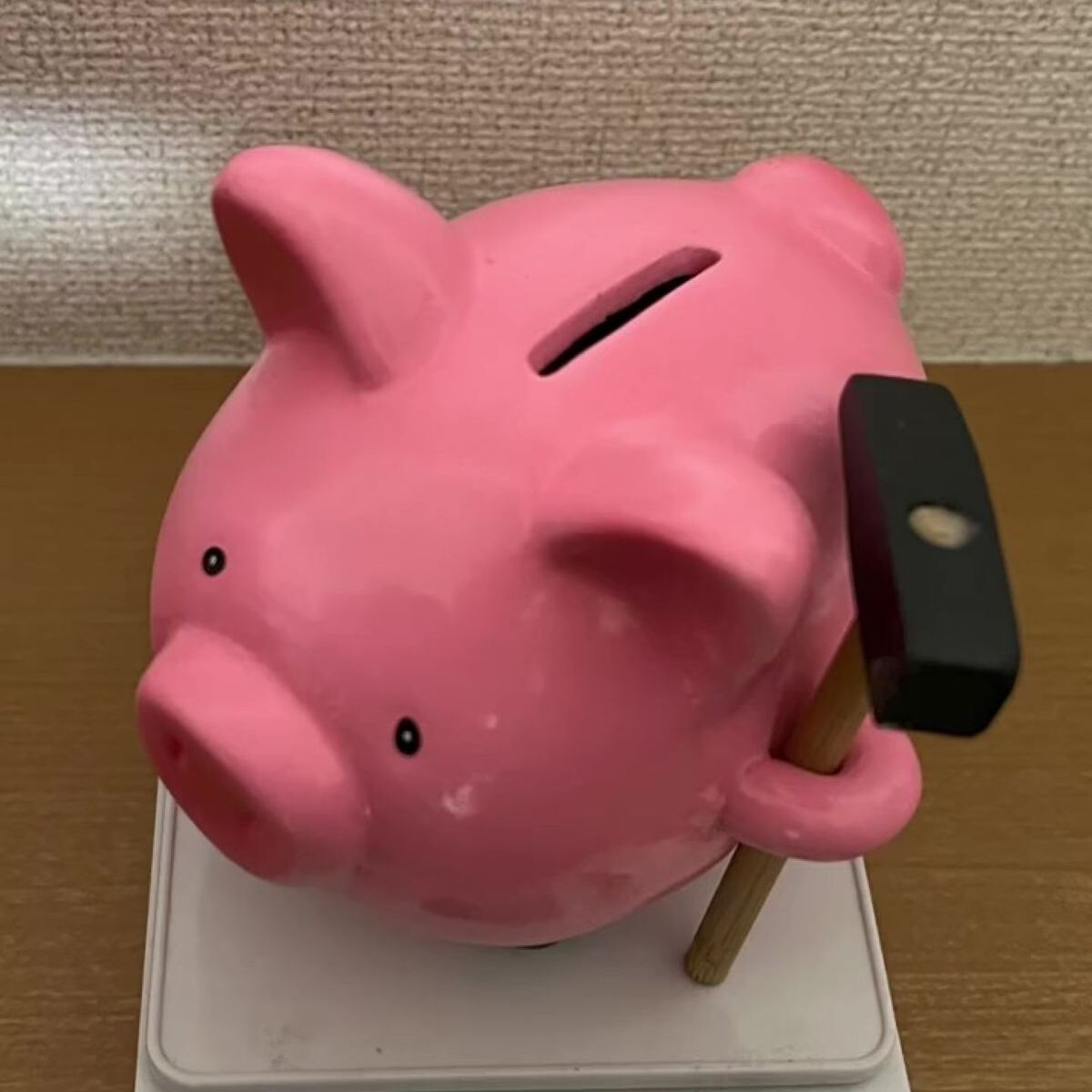 学生カップルが2人で貯めたブタの貯金箱→1年後、割ったら…… まさかの中身に「夢あるな」「そんなに貯まるの!?」と430万再生 | おかね ねとらぼ