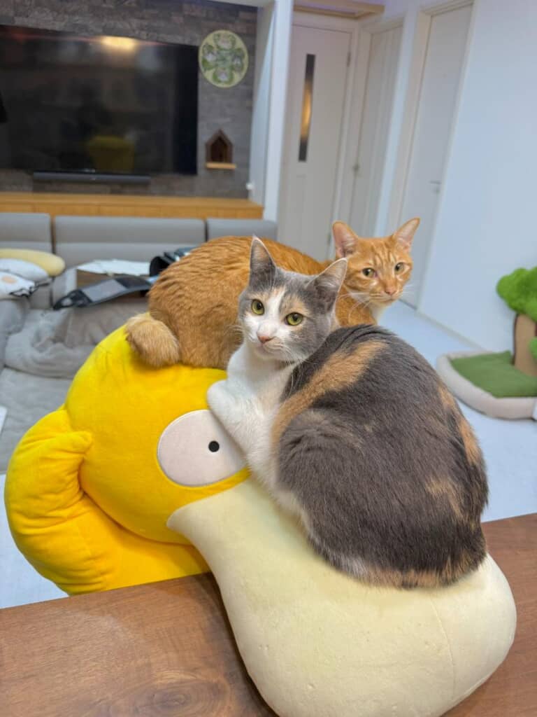 ちょっと重そうなコダック